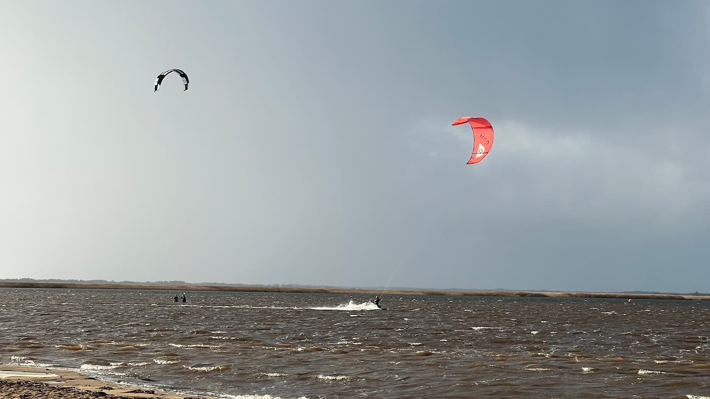 Surferhuset, Bork Havn – billede 41