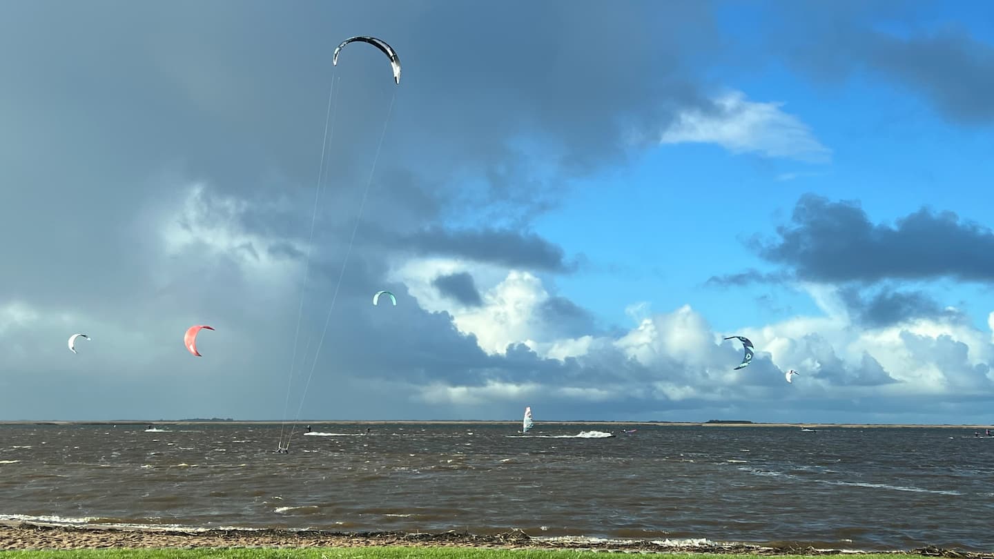Surferhuset, Bork Havn – billede 56