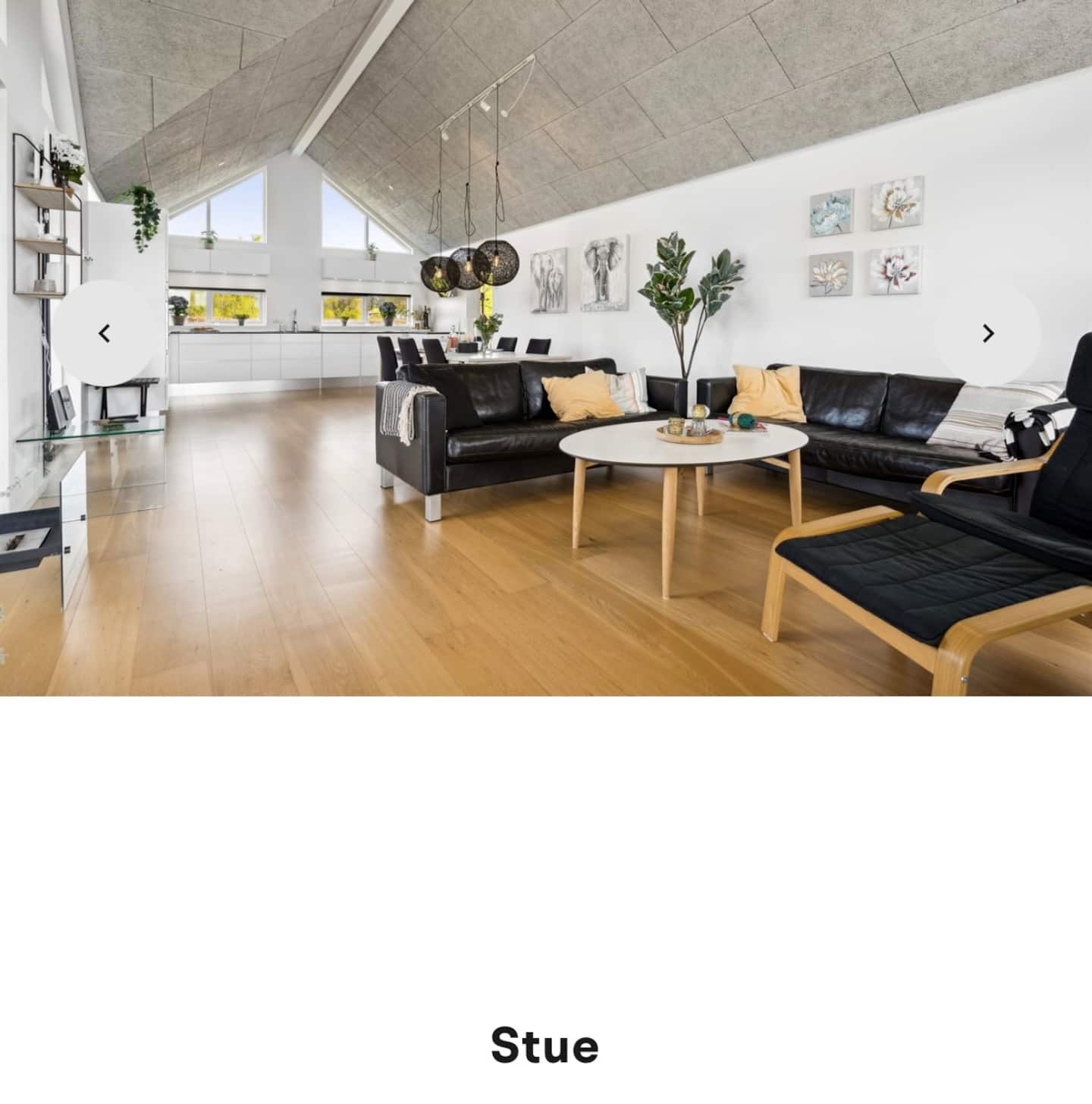 Gjerrild Nordstrand, Djursland – billede 15
